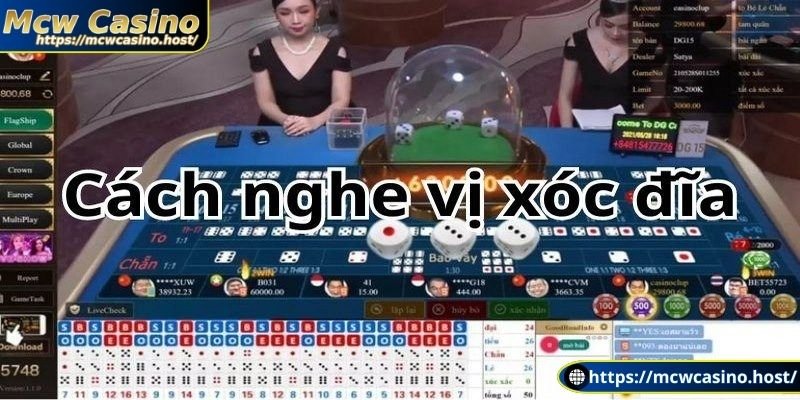 Cách đọc vị xóc đĩa là gì