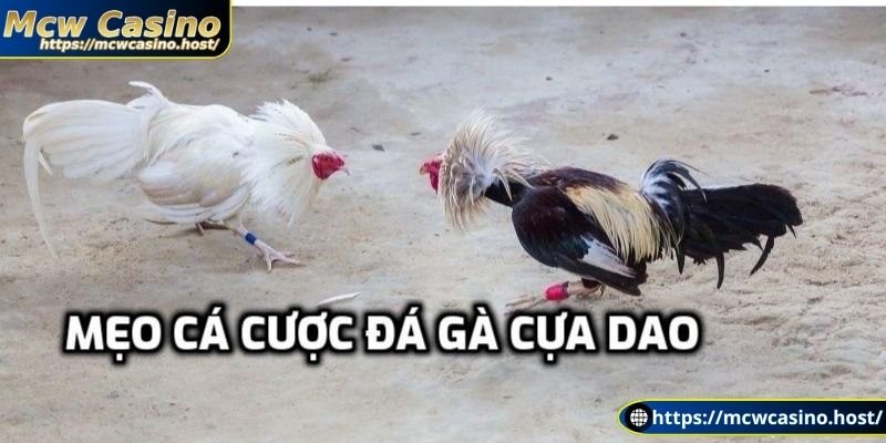 Mẹo hay giúp luôn thắng