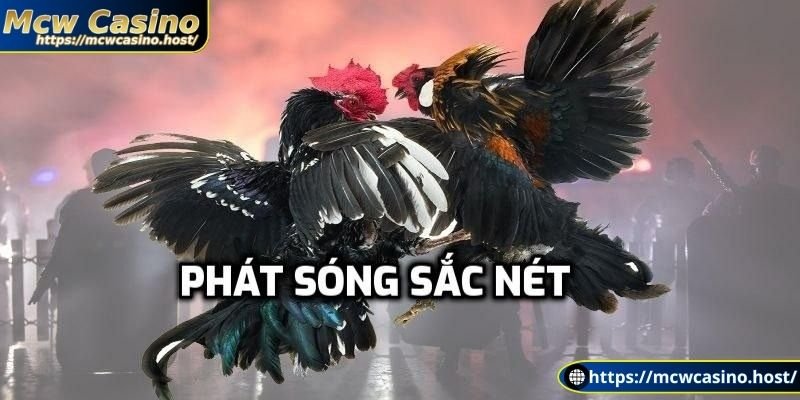 Chất lượng phát sóng sắc nét