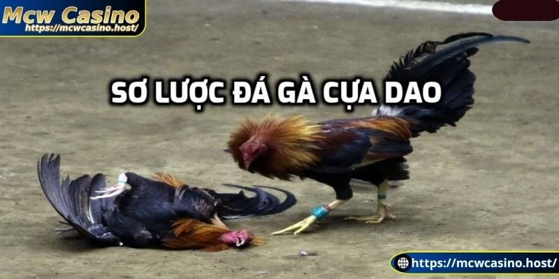 Sơ lược đá gà cựa dao