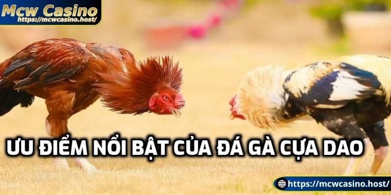 Có nhiều ưu điểm nổi bật