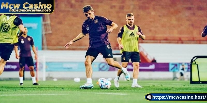 Nghiên cứu lịch sử từng đội bóng